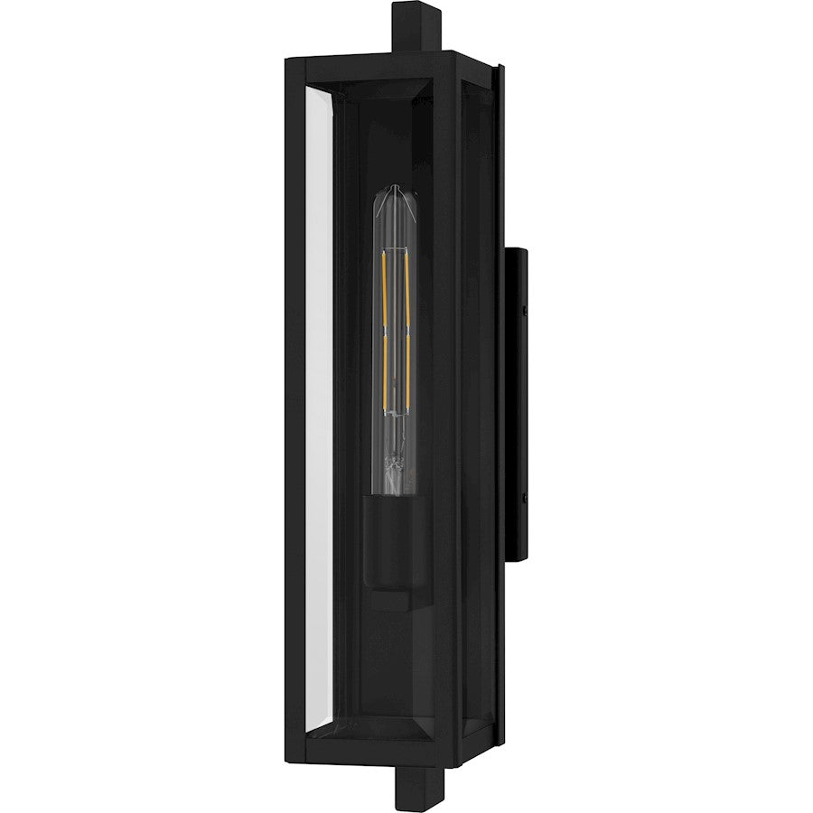 Dale 1Lt 20" Outdoor Lantern, Black/Clear Beveled