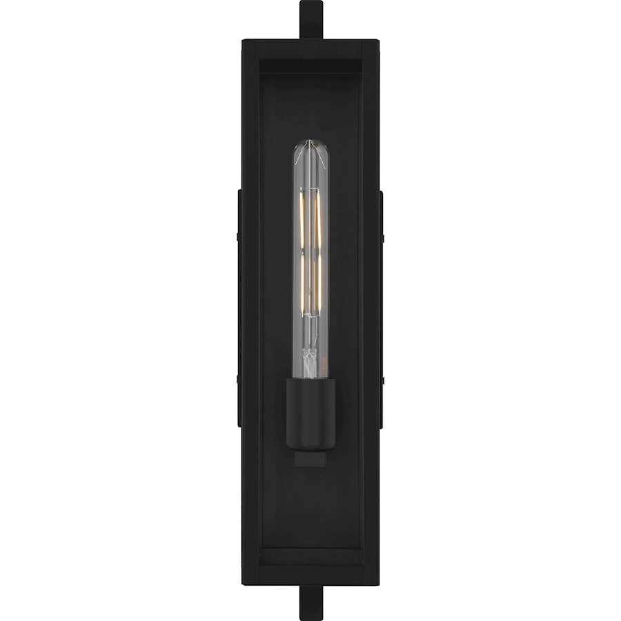 Dale 1Lt 20" Outdoor Lantern, Black/Clear Beveled