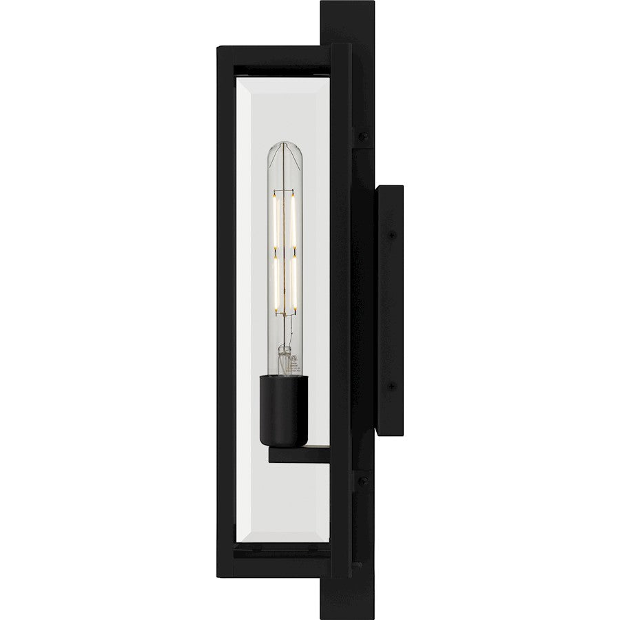 Dale 1Lt 20" Outdoor Lantern, Black/Clear Beveled