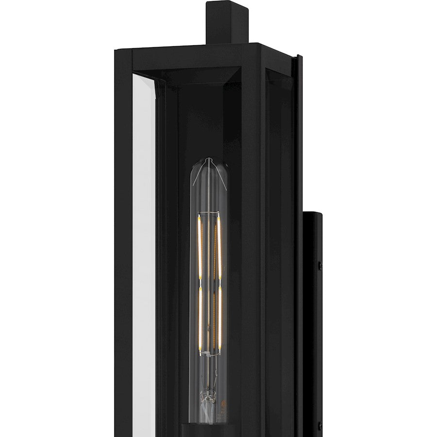 Dale 1Lt 20" Outdoor Lantern, Black/Clear Beveled