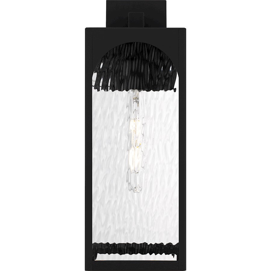 Dallington 1Lt 20" Outdoor Lantern, Black/Clear Textured