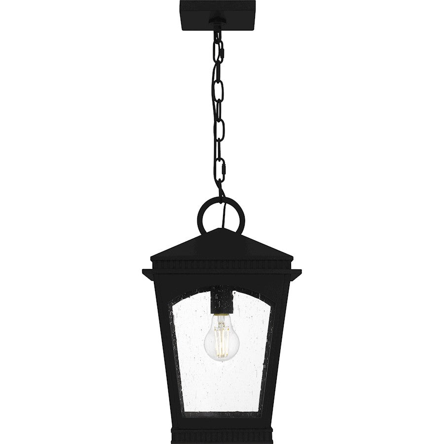Huck 1Lt 18" Outdoor Lantern, Earth Black/Clear Seedy