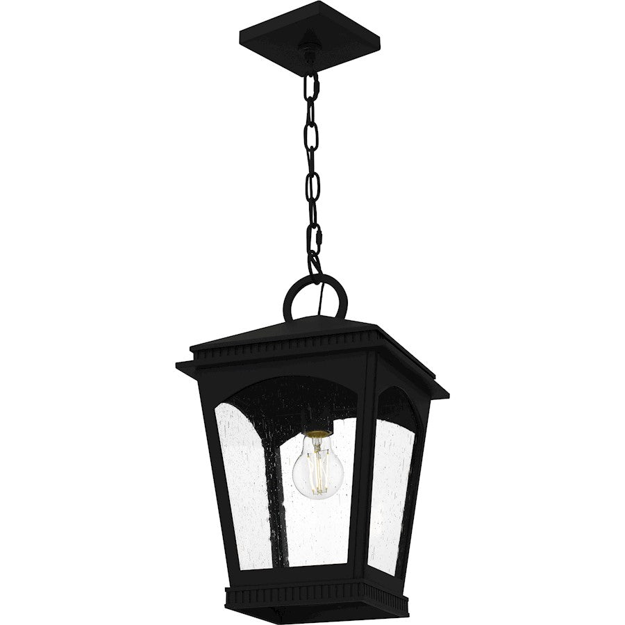 Huck 1Lt 18" Outdoor Lantern, Earth Black/Clear Seedy