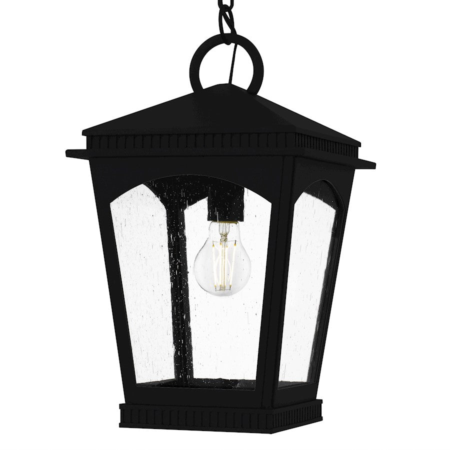 Huck 1Lt 18" Outdoor Lantern, Earth Black/Clear Seedy