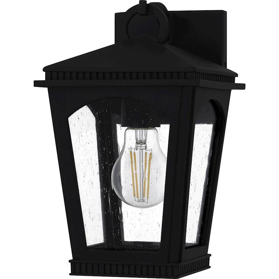 Huck 1Lt 11" Outdoor Lantern, Earth Black/Clear Seedy