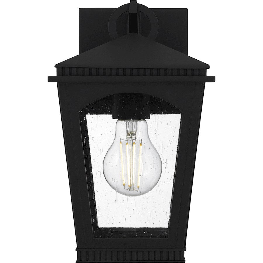 Huck 1Lt 11" Outdoor Lantern, Earth Black/Clear Seedy