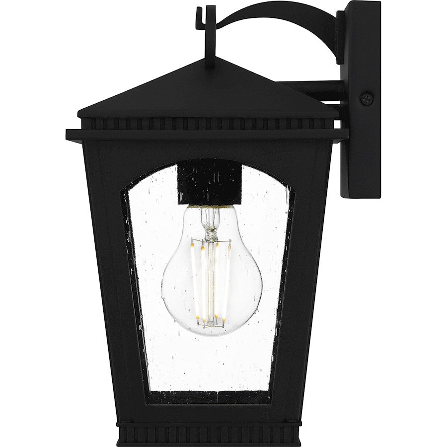 Huck 1Lt 11" Outdoor Lantern, Earth Black/Clear Seedy