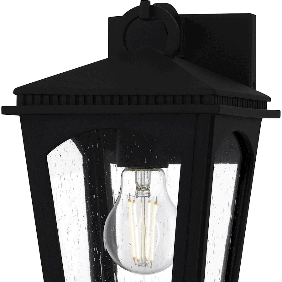 Huck 1Lt 11" Outdoor Lantern, Earth Black/Clear Seedy