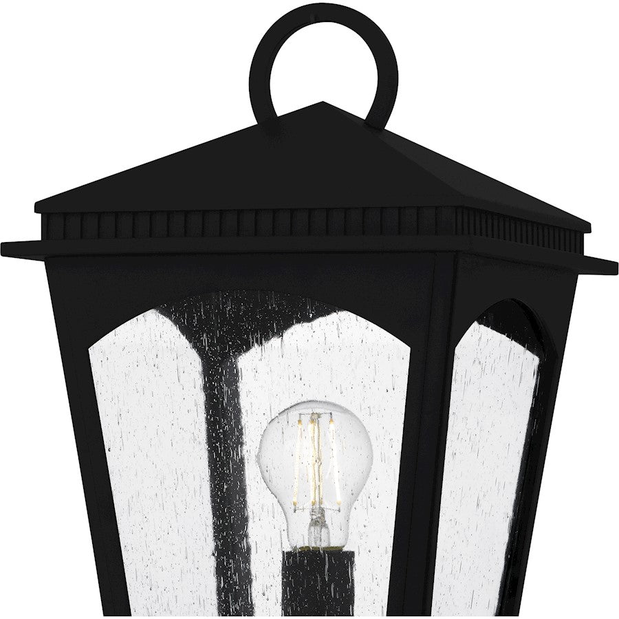 Huck 1Lt 19" Outdoor Lantern, Earth Black/Clear Seedy