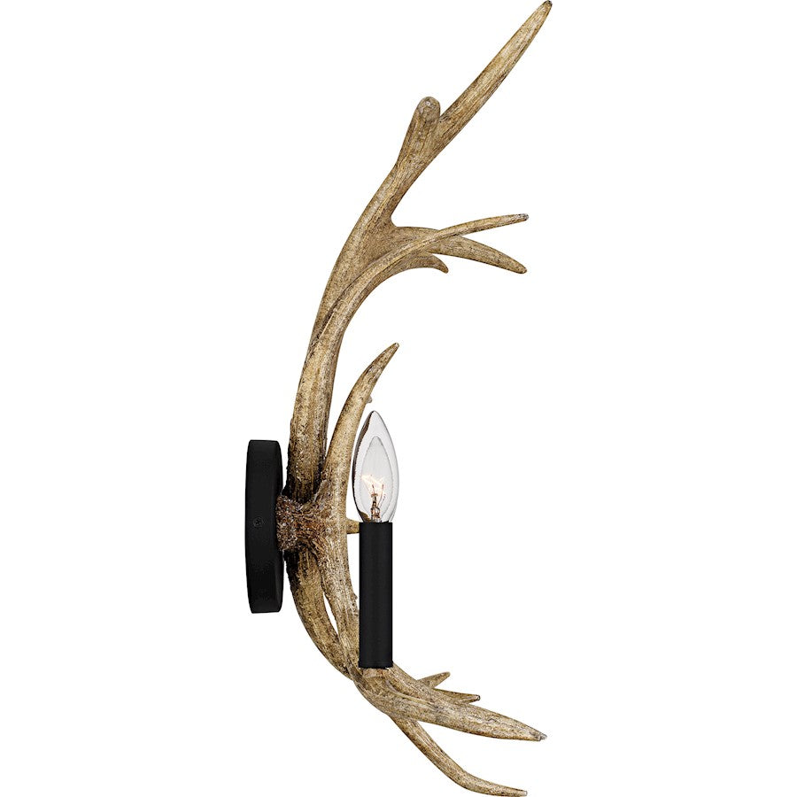 Journey 2Light Wall Sconce, Earth Black