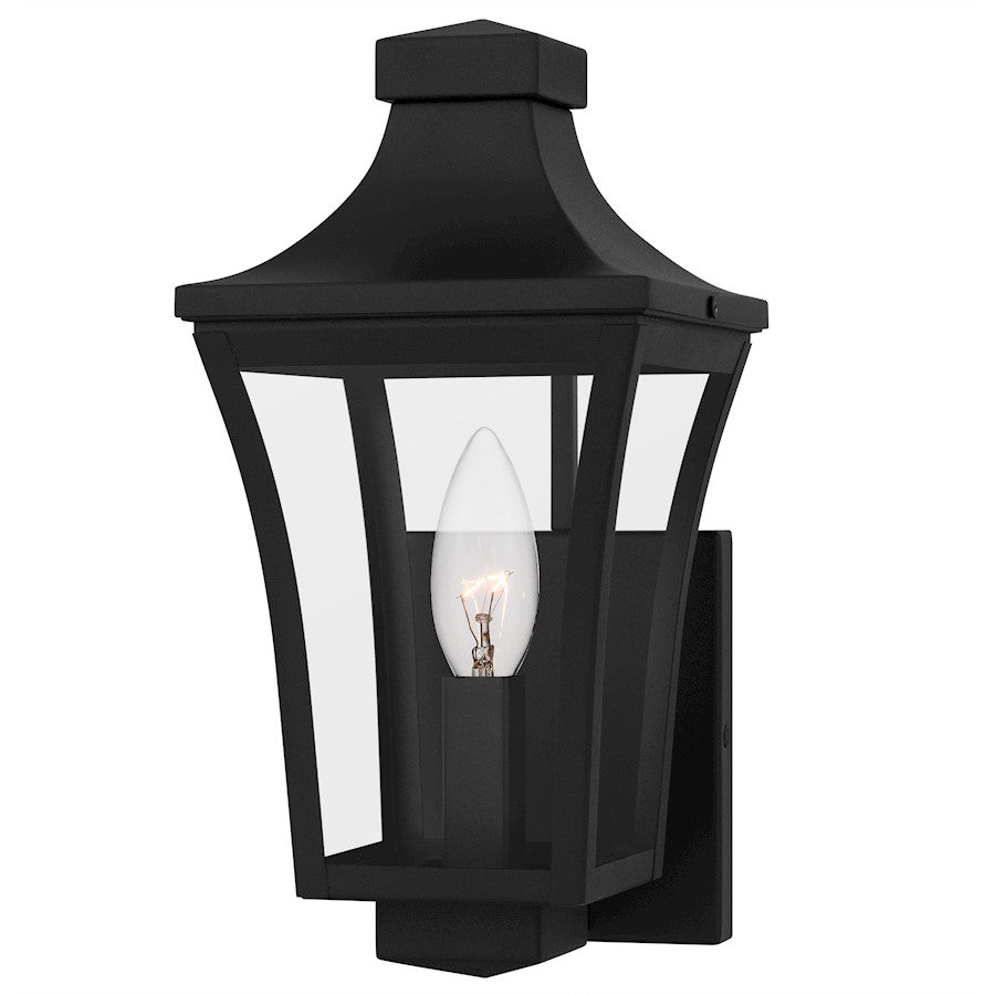 Quoizel Quentin 1Light Outdoor Lantern, Earth Black/Clear Glass - QTN8406EK