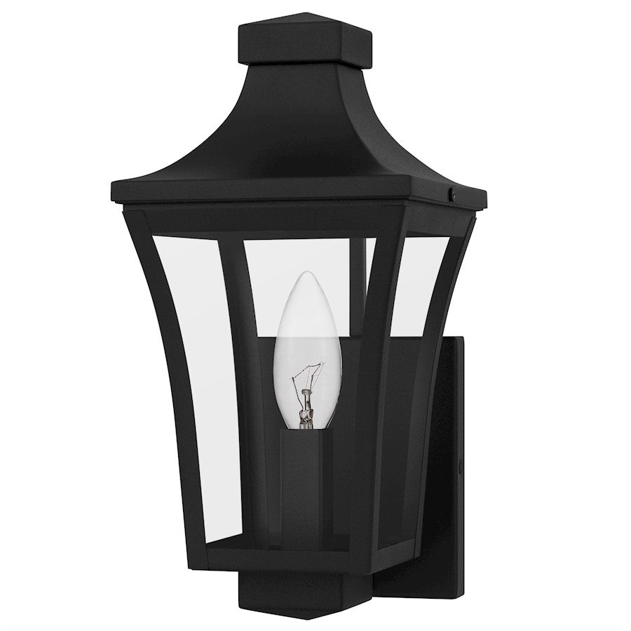 Quentin 1Light Outdoor Lantern, Earth Black/Clear Glass