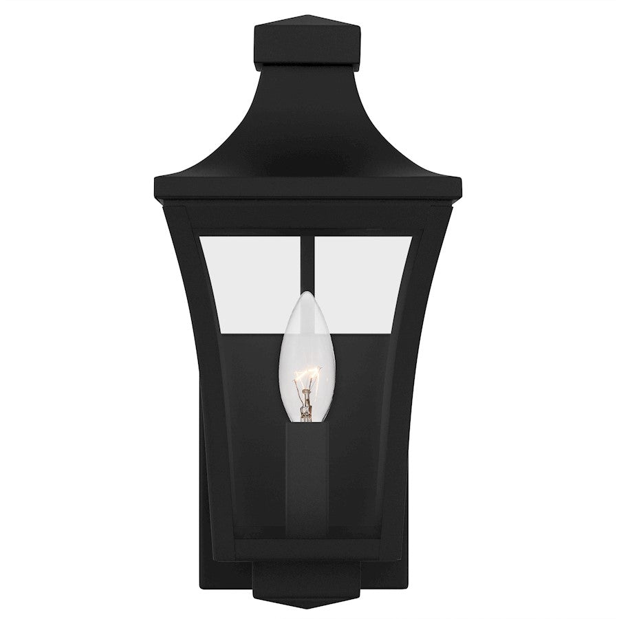 Quentin 1Light Outdoor Lantern, Earth Black/Clear Glass