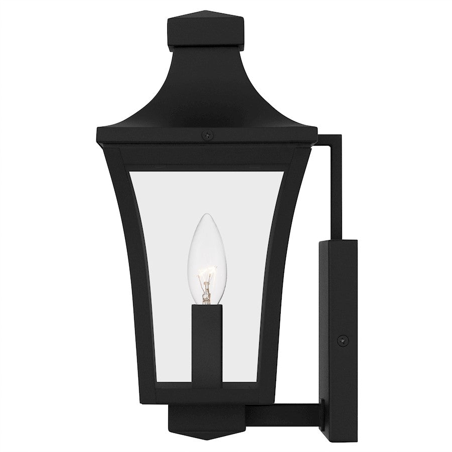Quentin 1Light Outdoor Lantern, Earth Black/Clear Glass
