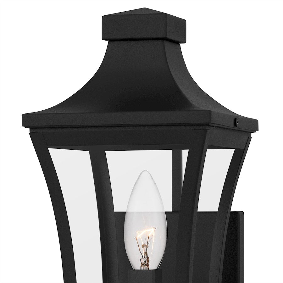 Quentin 1Light Outdoor Lantern, Earth Black/Clear Glass