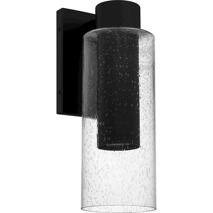 Sawyer 1Lt 15" Outdoor Lantern, Black/Clear Seedy