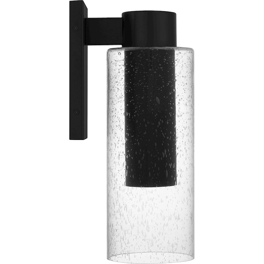 Sawyer 1Lt 15" Outdoor Lantern, Black/Clear Seedy