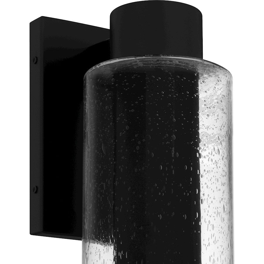 Sawyer 1Lt 15" Outdoor Lantern, Black/Clear Seedy