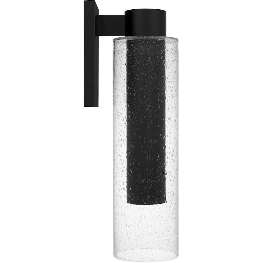 Sawyer 1Lt 20" Outdoor Lantern, Black/Clear Seedy