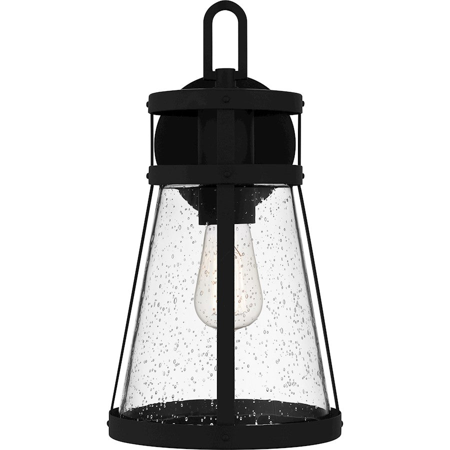 Barber 1 Light Outdoor Lantern, Clear Seedy