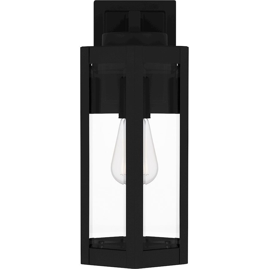 Mesnick 1 Light Outdoor Lantern, Black/Clear Beveled