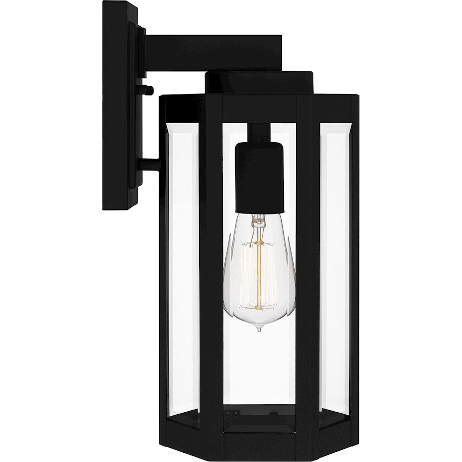 Mesnick 1 Light Outdoor Lantern, Black/Clear Beveled