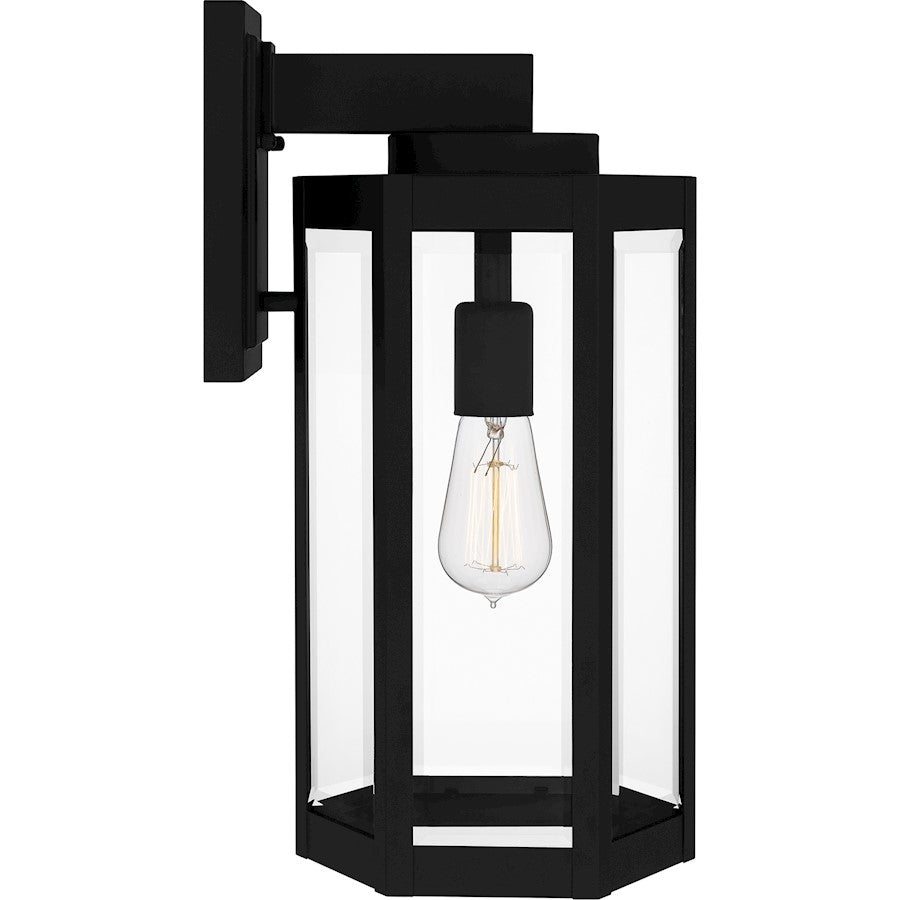 Mesnick 1 Light Outdoor Lantern, Black/Clear Beveled