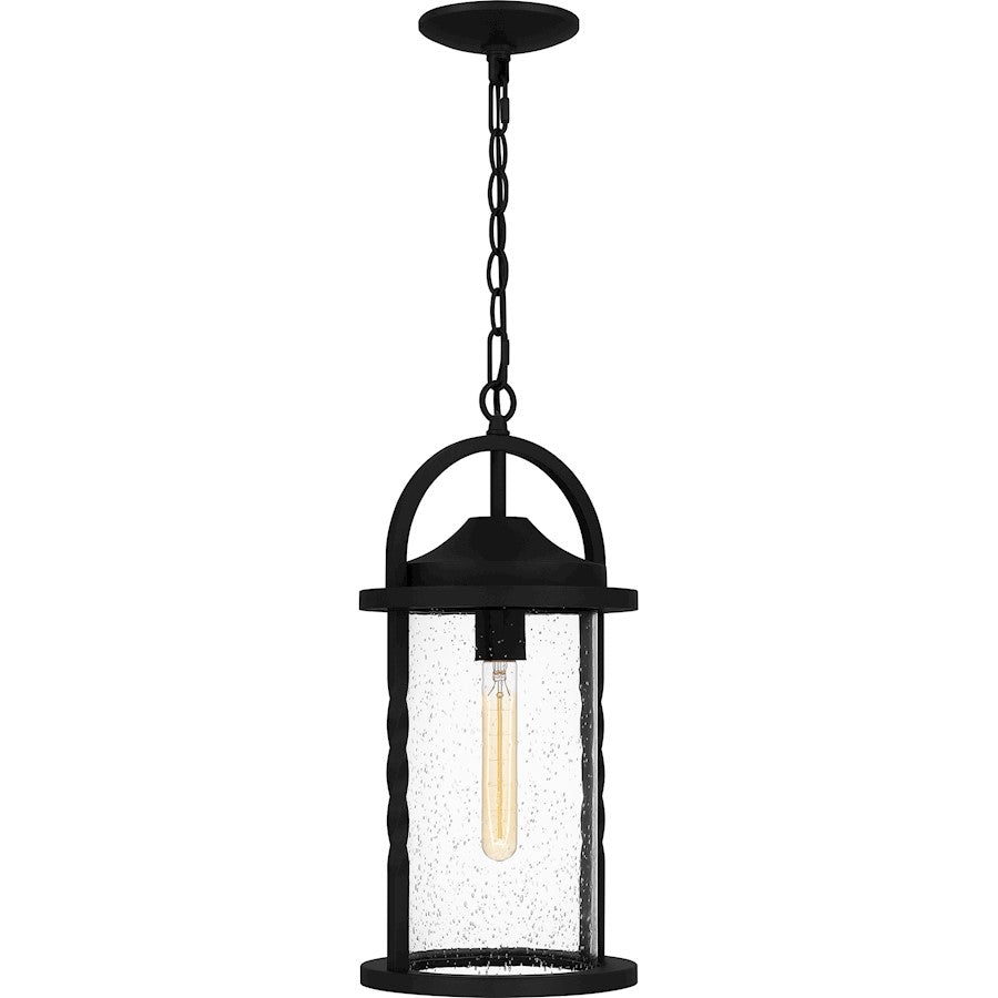 Reece 1 Light 19" Outdoor Lantern, Earth Black/Clear Seedy