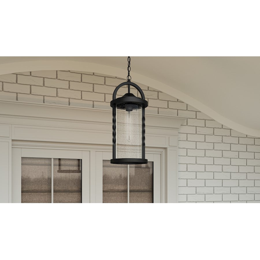 Reece 1 Light 19" Outdoor Lantern, Earth Black/Clear Seedy