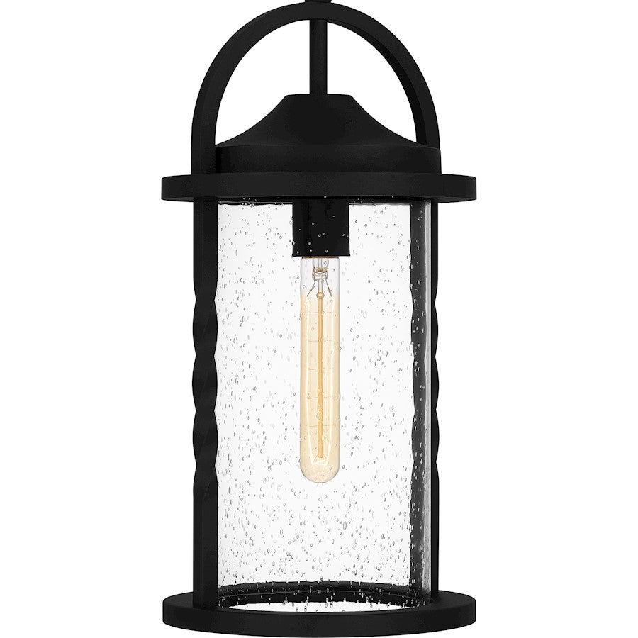 Reece 1 Light 19" Outdoor Lantern, Earth Black/Clear Seedy