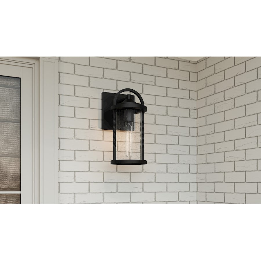 Reece 1 Light Outdoor Lantern, Earth Black/Clear Seedy