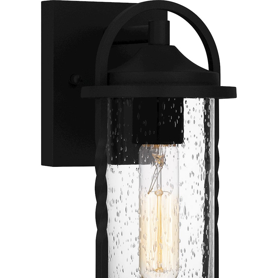 Reece 1 Light Outdoor Lantern, Earth Black/Clear Seedy