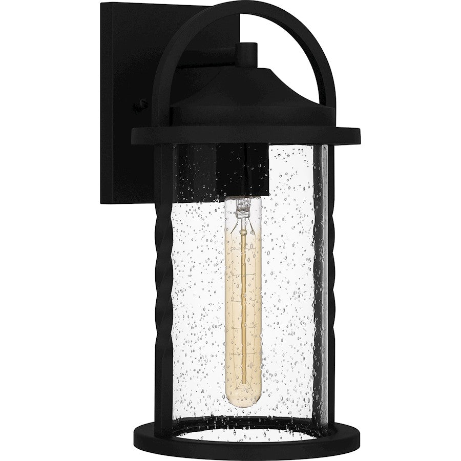 Reece 1 Light Outdoor Lantern, Earth Black/Clear Seedy