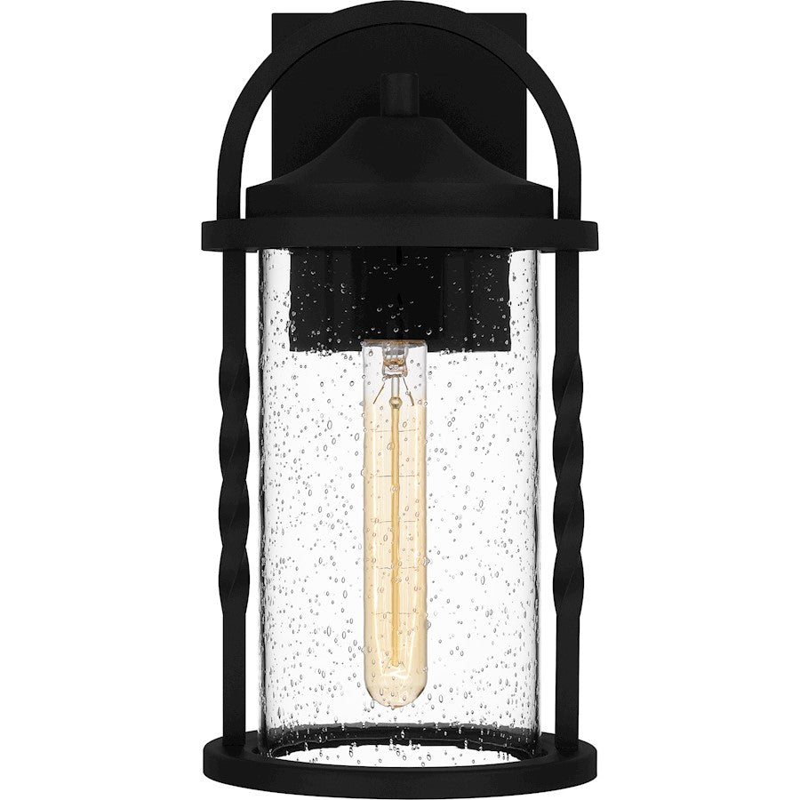Reece 1 Light Outdoor Lantern, Earth Black/Clear Seedy