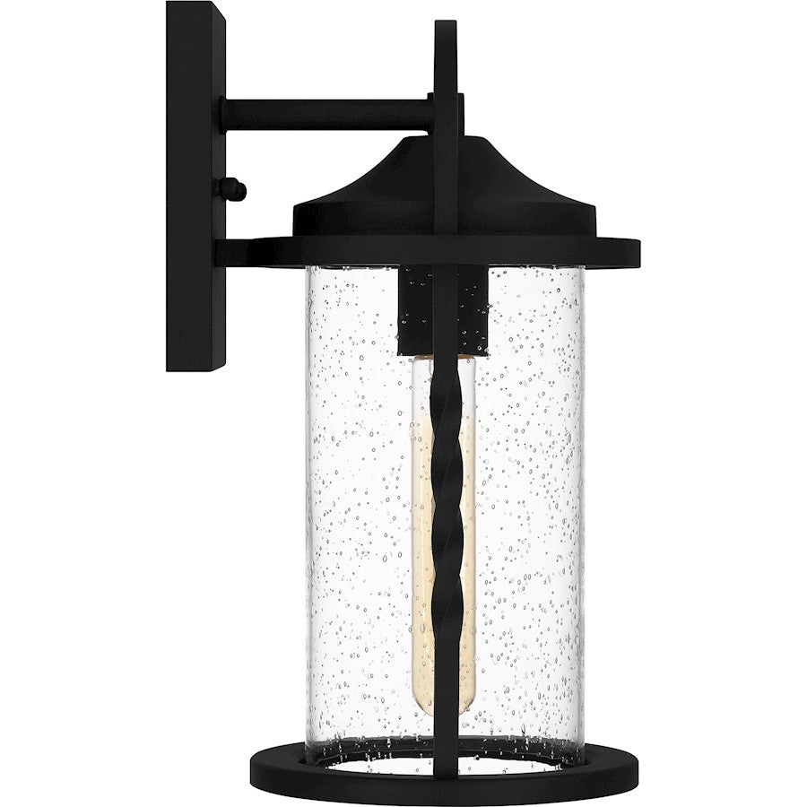 Reece 1 Light Outdoor Lantern, Earth Black/Clear Seedy