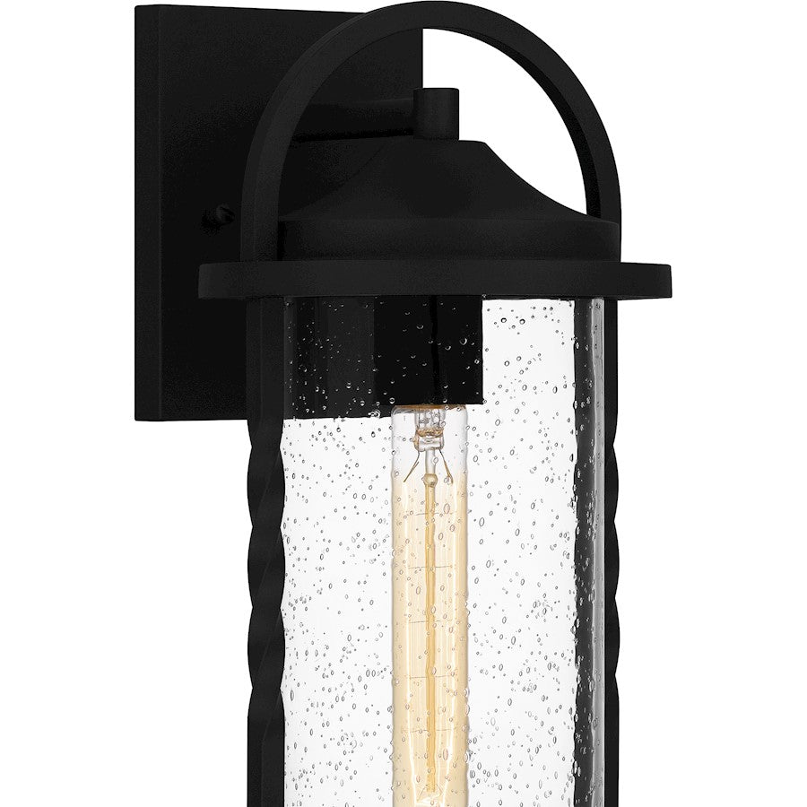 Reece 1 Light Outdoor Lantern, Earth Black/Clear Seedy