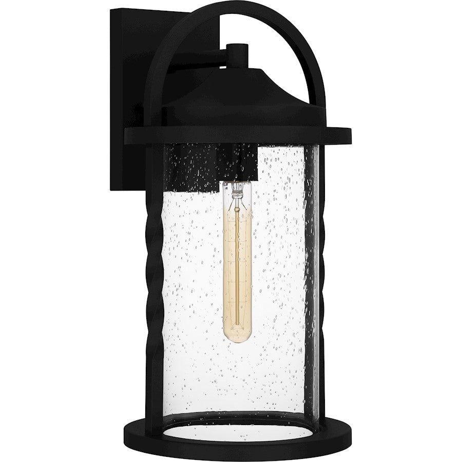 Reece 1 Light Outdoor Lantern, Earth Black/Clear Seedy