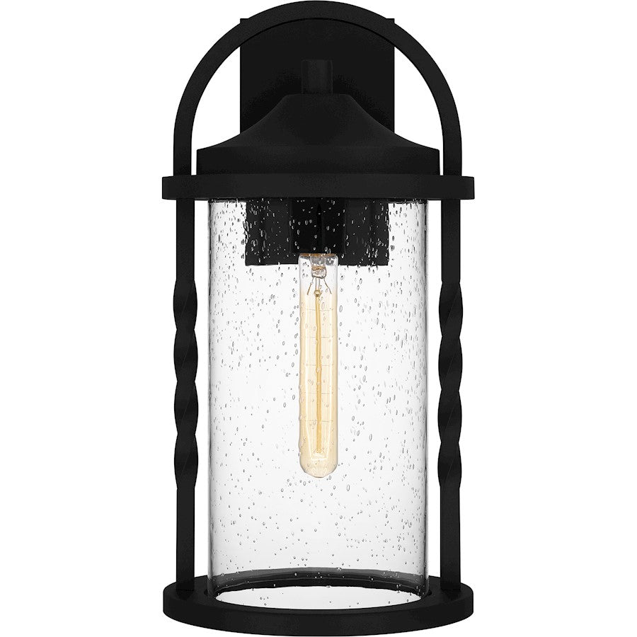 Reece 1 Light Outdoor Lantern, Earth Black/Clear Seedy