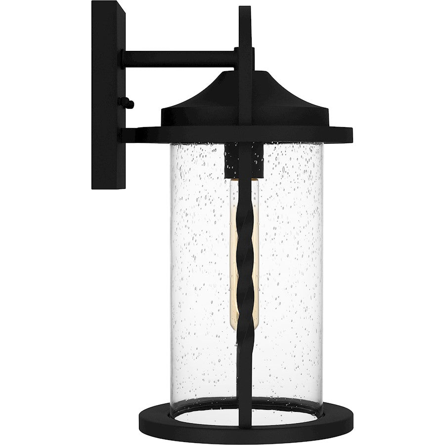 Reece 1 Light Outdoor Lantern, Earth Black/Clear Seedy
