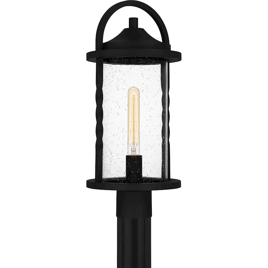 Reece 1 Light 20" Outdoor Lantern, Earth Black/Clear Seedy