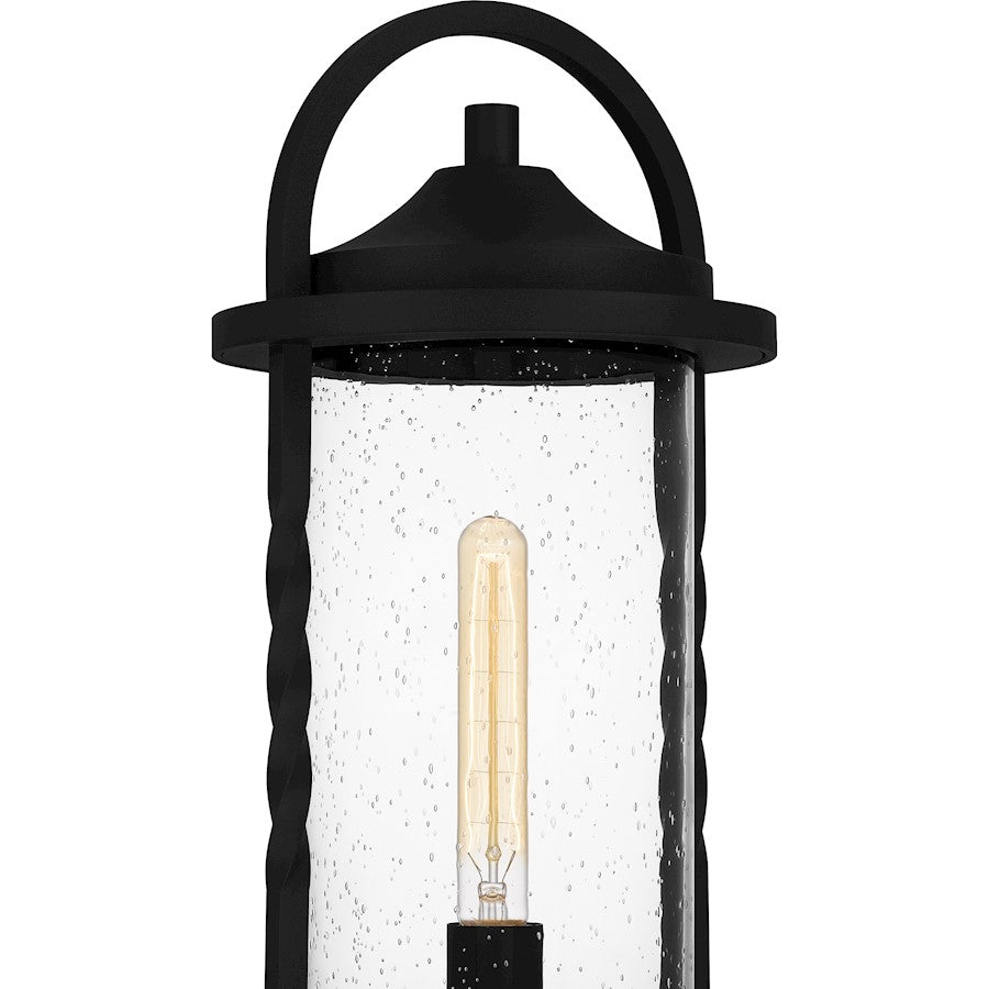 Reece 1 Light 20" Outdoor Lantern, Earth Black/Clear Seedy