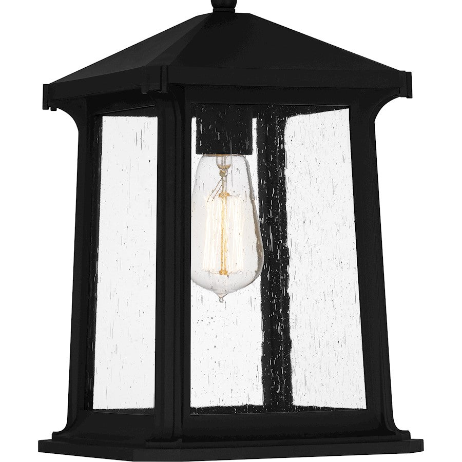 Satterfield 1 Light 15" Outdoor Lantern, Black/Clear Seedy