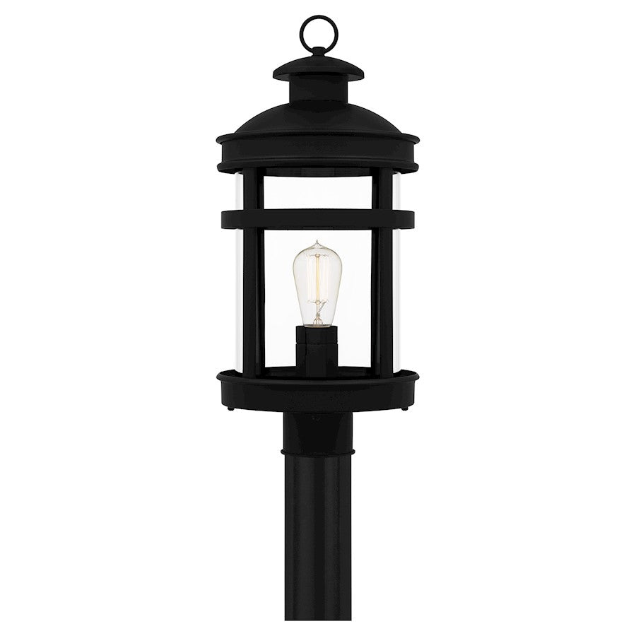 Scout 1 Light 20" Outdoor Lantern, Matte Black/Clear