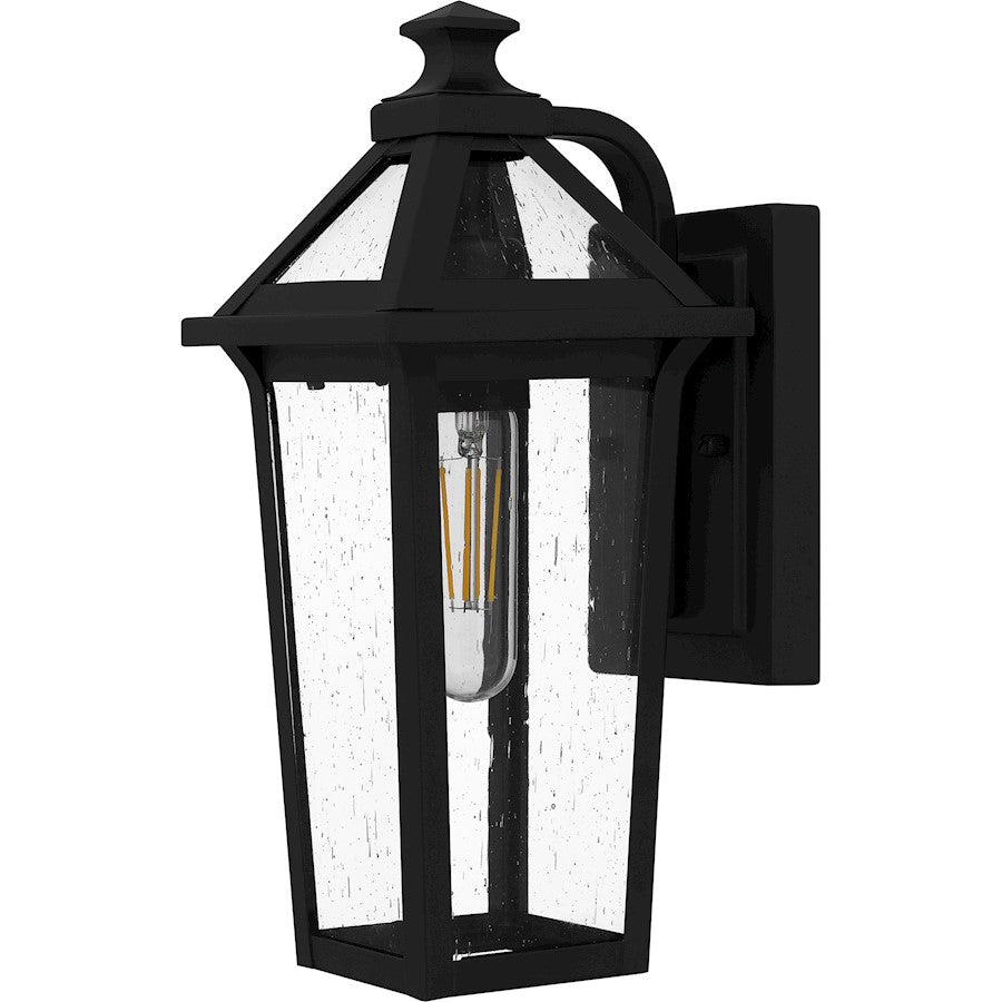 Boulevard 1 Light 13" Outdoor Lantern, Black/Clear Seedy