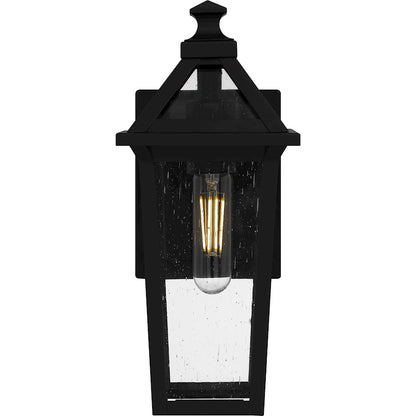 Boulevard 1 Light 13" Outdoor Lantern, Black/Clear Seedy