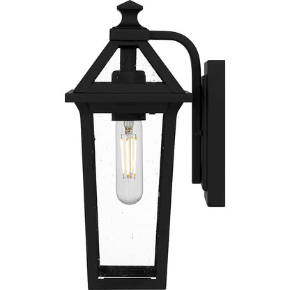 Boulevard 1 Light 13" Outdoor Lantern, Black/Clear Seedy