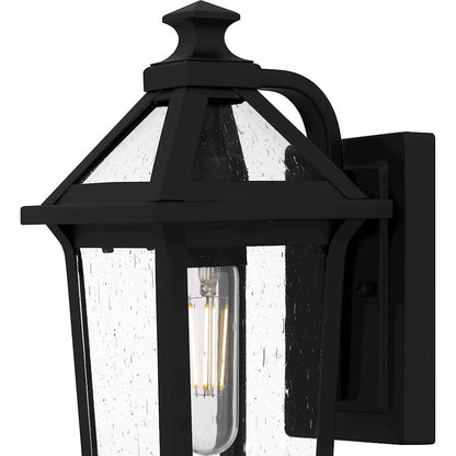 Boulevard 1 Light 13" Outdoor Lantern, Black/Clear Seedy