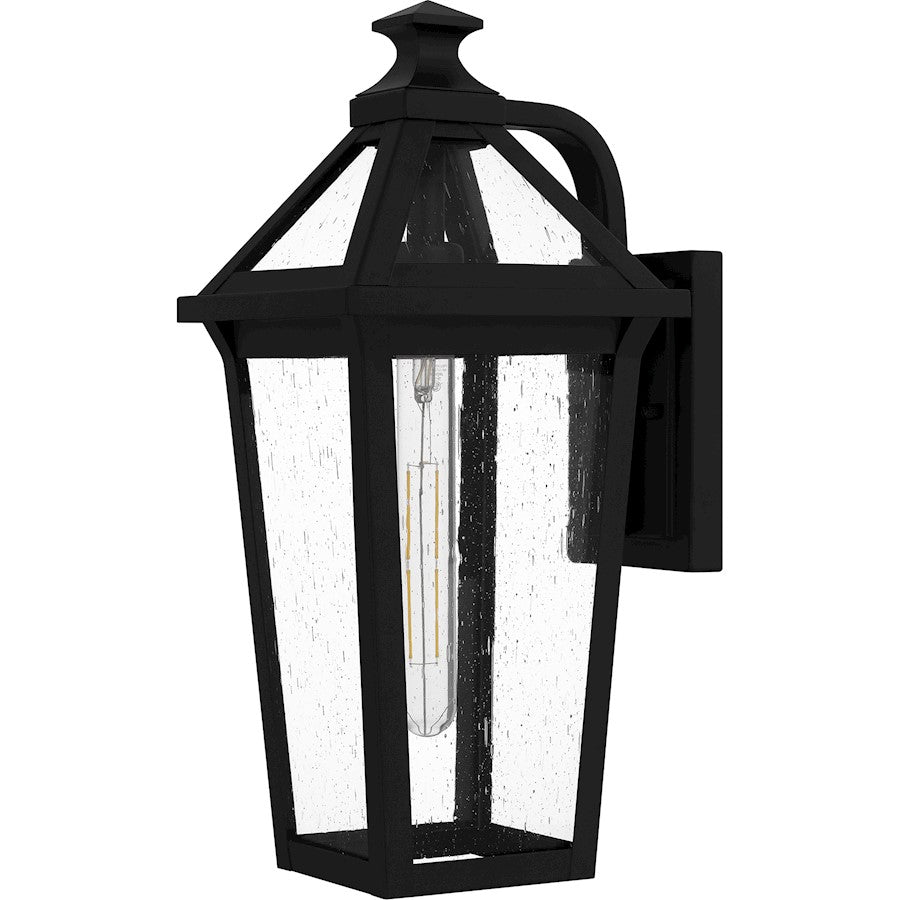 Boulevard 1 Light 18" Outdoor Lantern, Black/Clear Seedy