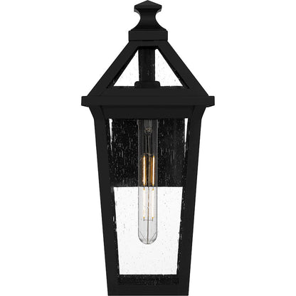 Boulevard 1 Light 18" Outdoor Lantern, Black/Clear Seedy