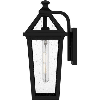 Boulevard 1 Light 18" Outdoor Lantern, Black/Clear Seedy